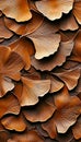 Ginkgo Biloba Leaf Fossil Pattern on Earthy Texture