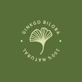 Ginkgo Biloba Leaf green badge and icon in trendy linear style - Vector round Logo of gingko 100 percent natural Royalty Free Stock Photo