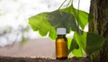 Ginkgo biloba leaves and medicine bottles. SPEACE Royalty Free Stock Photo