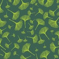 Ginkgo biloba leaves pattern, green ginkgo leaves background