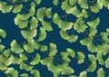 Ginkgo biloba leaves. Seamless pattern, background. Royalty Free Stock Photo