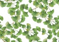 Ginkgo biloba leaves. Seamless pattern, background. Royalty Free Stock Photo