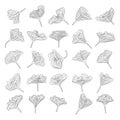 Ginkgo biloba leaves set. Abstract hand drawn continuous line art jinkgo leaf. Botany collection for decor Royalty Free Stock Photo