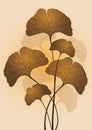 Ginkgo biloba leaves vector illustration Royalty Free Stock Photo