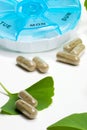 Ginkgo Biloba and pills planne Royalty Free Stock Photo