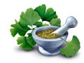 Ginkgo Biloba Supplement Concept