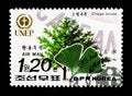 Ginkgo Biloba, Unep - World Environment Day: Flora and Fauna serie, circa 1992