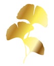 Ginkgo or Gingko Biloba golden leaves. Nature botanical gold illustration, decorative metal graphic isolated over white Royalty Free Stock Photo