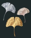 Ginkgo or Gingko Biloba golden and silver leaves. Nature botanical metal illustration, decorative graphic set Royalty Free Stock Photo