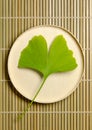Ginkgo leaf on a balsa wood cap over a bamboo mat, ginkgo biloba leaf Royalty Free Stock Photo