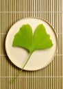 Ginkgo leaf on a balsa wood cap over a bamboo mat, ginkgo biloba leaf