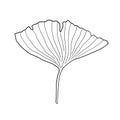 Ginkgo leaf isolated doodle Royalty Free Stock Photo