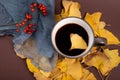 Ginkgo leaves and coffee Royalty Free Stock Photo