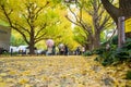 The Ginkgo street avenue in Meiji Jingu Gaien Park