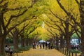 The Ginkgo street avenue in Meiji Jingu Gaien Park