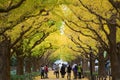 The Ginkgo street avenue in Meiji Jingu Gaien Park