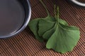 Ginkgo tea Royalty Free Stock Photo