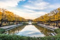 Ginkgo trees Autumn