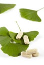 Ginko biloba