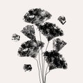 Ginko Biloba tree vector illustration Royalty Free Stock Photo