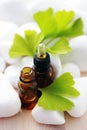 Ginko essential oil