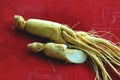 Ginseng