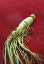 Ginseng