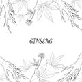 Ginseng background 1