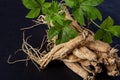 Ginseng and Eleutherococcus trifoliatus green leaf on black ceramic background Royalty Free Stock Photo