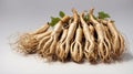 Ginseng energy root