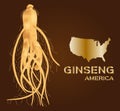 Ginseng , ginseng of America , ancient traditional medicine