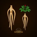 Ginseng for good health elegant vector illustration.