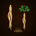 Ginseng for good health elegant vector illustration.