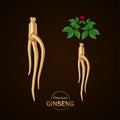 Ginseng for good health elegant vector illustration.