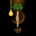 Ginseng for good health elegant vector illustration.