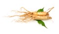 Ginseng