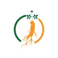 Ginseng logo design template and symbol icon Royalty Free Stock Photo