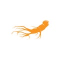 Ginseng logo design template and symbol icon Royalty Free Stock Photo