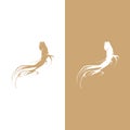 Ginseng logo design template and symbol icon Royalty Free Stock Photo