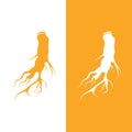 Ginseng logo design template and symbol icon Royalty Free Stock Photo