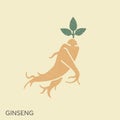 Ginseng logo design vector template. Ginseng root in vintage style Royalty Free Stock Photo