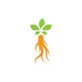 Ginseng logo