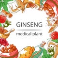 Ginseng medical plant frame background Royalty Free Stock Photo