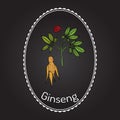 Ginseng - medicinal plant