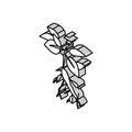 ginseng plant isometric icon vector illustration Royalty Free Stock Photo