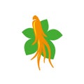 Ginseng plant root and leaves logo