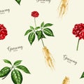 Ginseng plant seamless pattern. Watercolor illustration. Hand drawn realistic organic natural Panax herb botanical