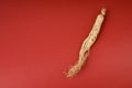 Ginseng on red Royalty Free Stock Photo