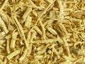 Ginseng root Royalty Free Stock Photo