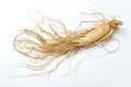 ginseng root Royalty Free Stock Photo